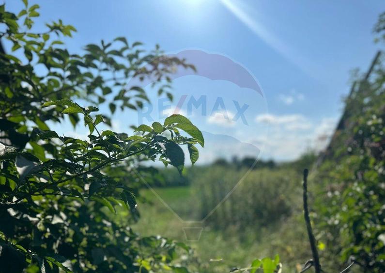 Teren intravilan 3.765 mp cu casa Bode?ti de Jos - 6