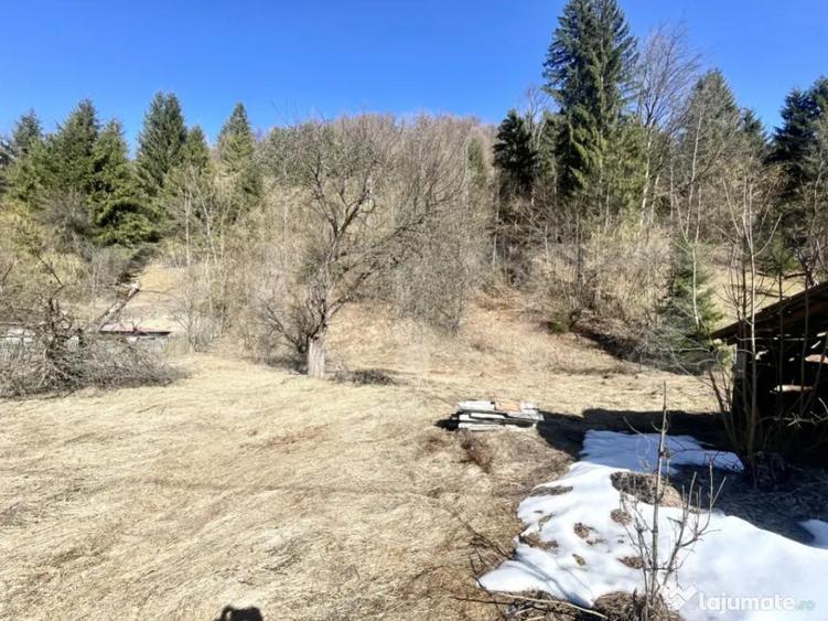 Casa de vacan?a sau locuin?a in Apuseni | 3300 mp tere - 6