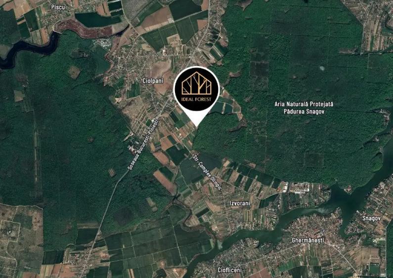 Vand lot teren la padurea Snagov - 5