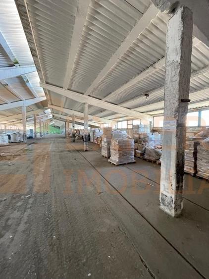 Hala situata in Ovidiu - 9