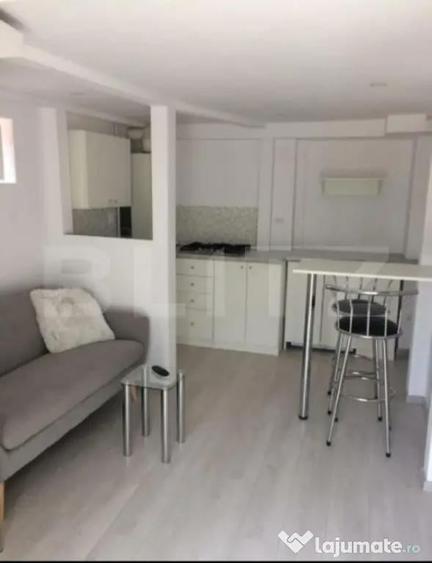 Apartament tip studio, 16,16 mp, strada piata Trandafirilor - 3