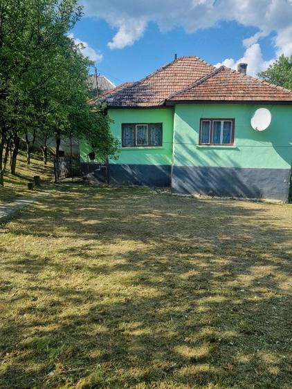 Vand casa in Jichisul de Sus - 3