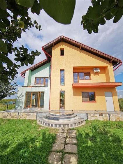 Vila Deosebita Rudicica - 1