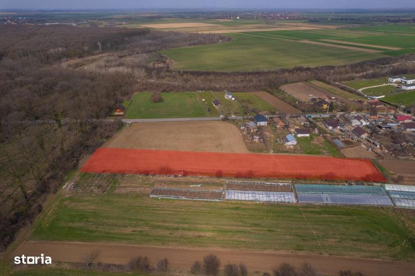 Nuci - Balta Neagra, Lot 3900 Mp, La Padure! - 8