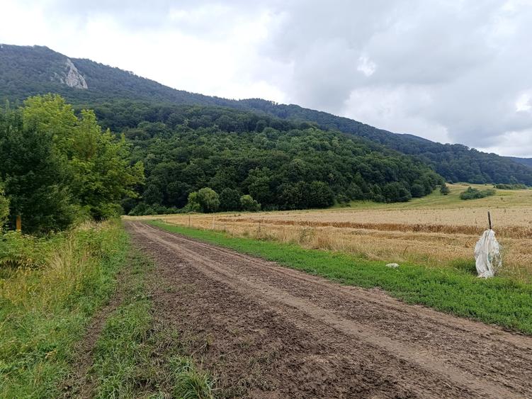 De vanzare - Teren intravilan pentru constructii – 16.500 mp / 0% comision - 6