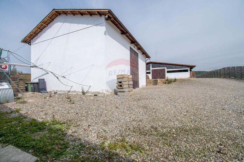 Ferma moderna de porci de vanzare in Curtuiusu Dejului - 23