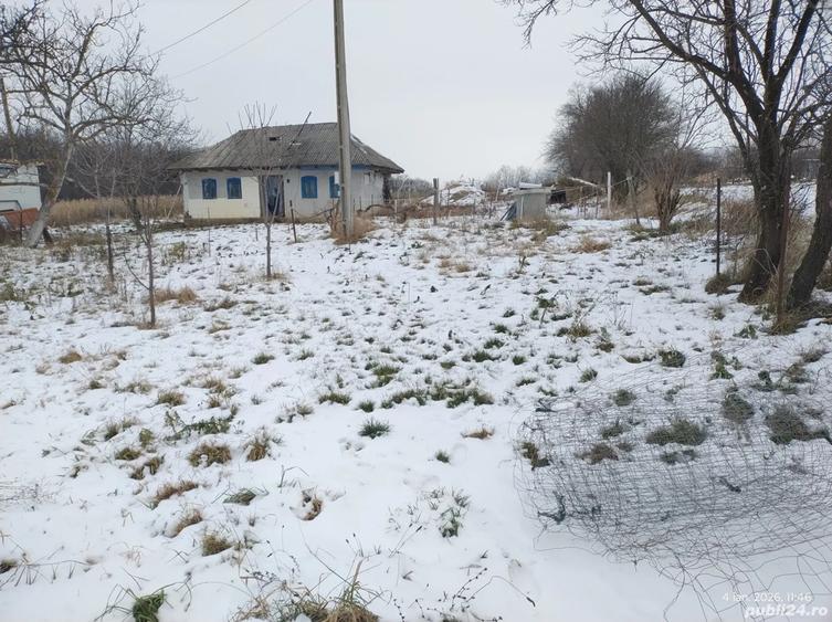 Hala pe Structura Metalica+ Casa batraneasca + 4800 m2 - 10