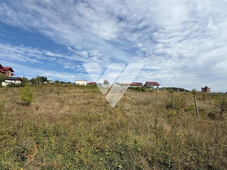 Teren extravilan de vânzare 459 mp Viile Sibiului - 2