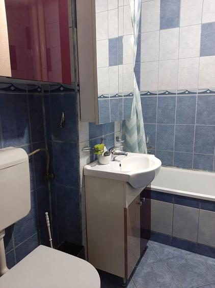 Dau in chirie apartament 2 camere, Nufarul - 8