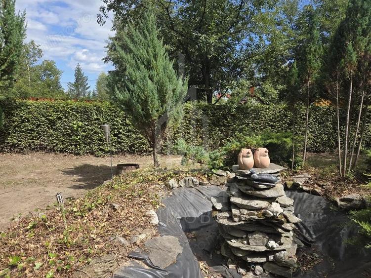 Teren deosebit cu cabana din lemn, Tocile loca?ie lini?tita - 12