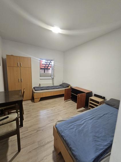 Proprietate speciala Dumbravita - casa individuala !! - 6