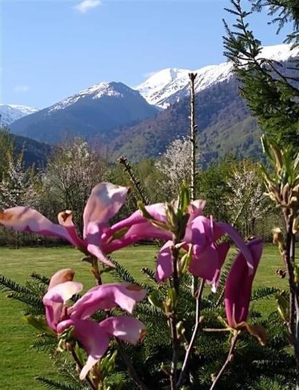 Intr o pozitionare cu apa curgatoare si incantare montana, Dejani, Fagaras - 3