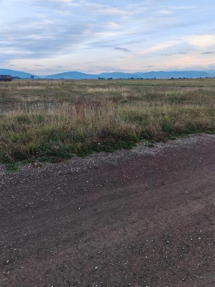 Teren Intravilan de vanzare - 3