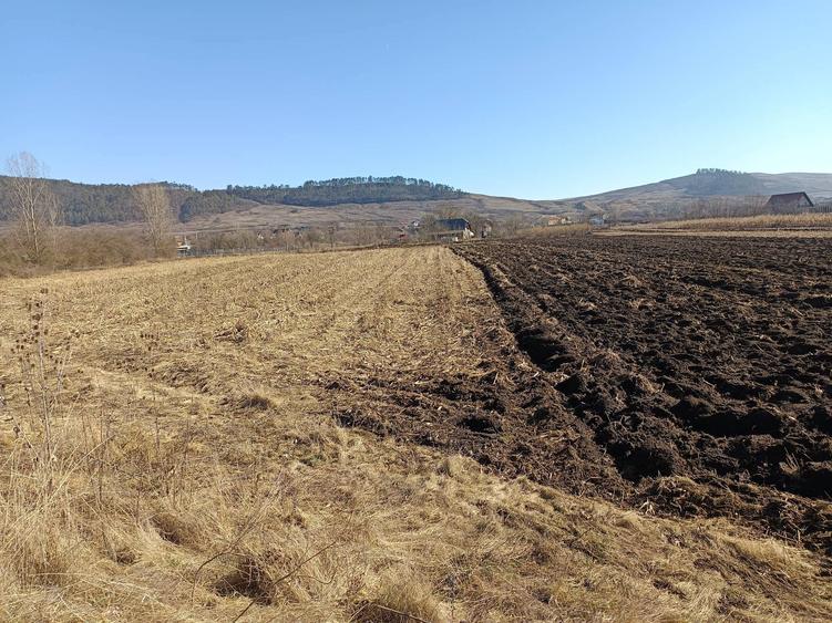 TEREN agricol in arenda bontida - 1