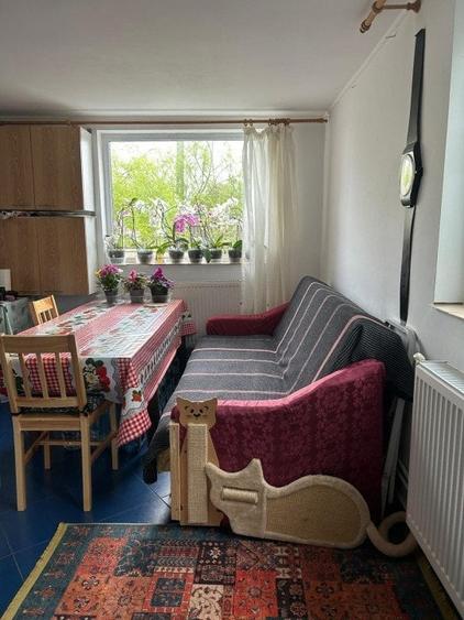 Casa + teren -centrala proprie -Cornetu -Ilfov - 14