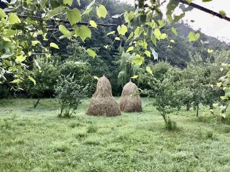 Casa de vacanta de vanzare - 3