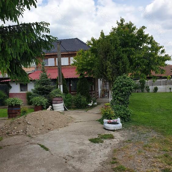 Vind casa in comuna Varias la 40 km de Timi?oara - 3