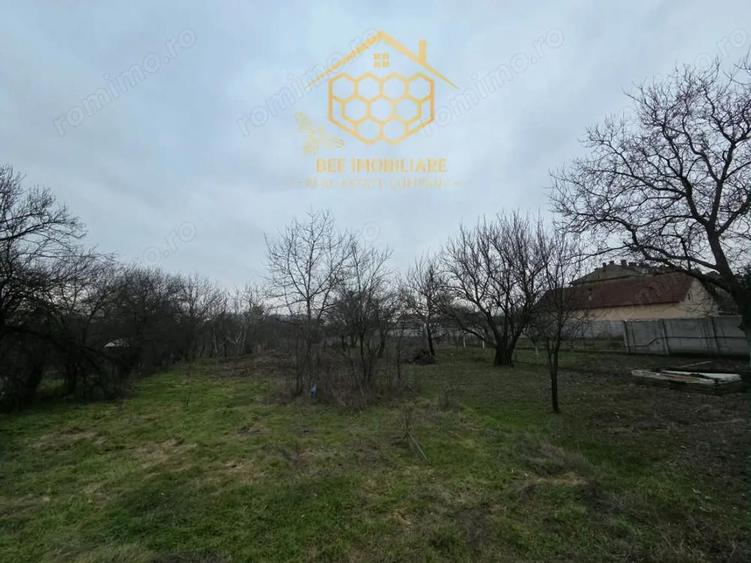 Teren 1.451 mp INTRAVILAN in Podari Toate utilitatile - 1