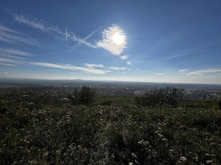 Teren Intravilan de Vanzare in Oradea 1318 mp cu view extraordinar - 3