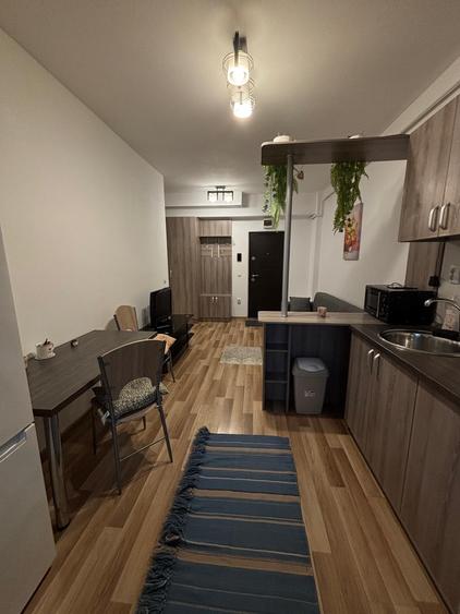 Apartament cu 2 camere  zona Palas - 4