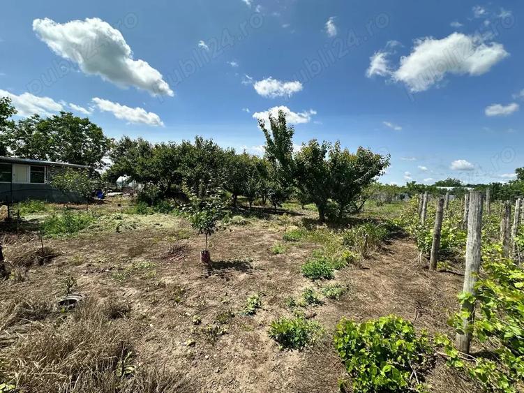 Casa de vanzare Comuna Mitreni sat Valea Rosie langa Manastirea Buna Vestire - 1