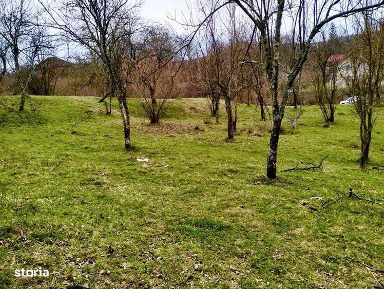 Ocazie! Vand teren Curtea de Arges glamping/ casa vacanta/ pensiune - 1