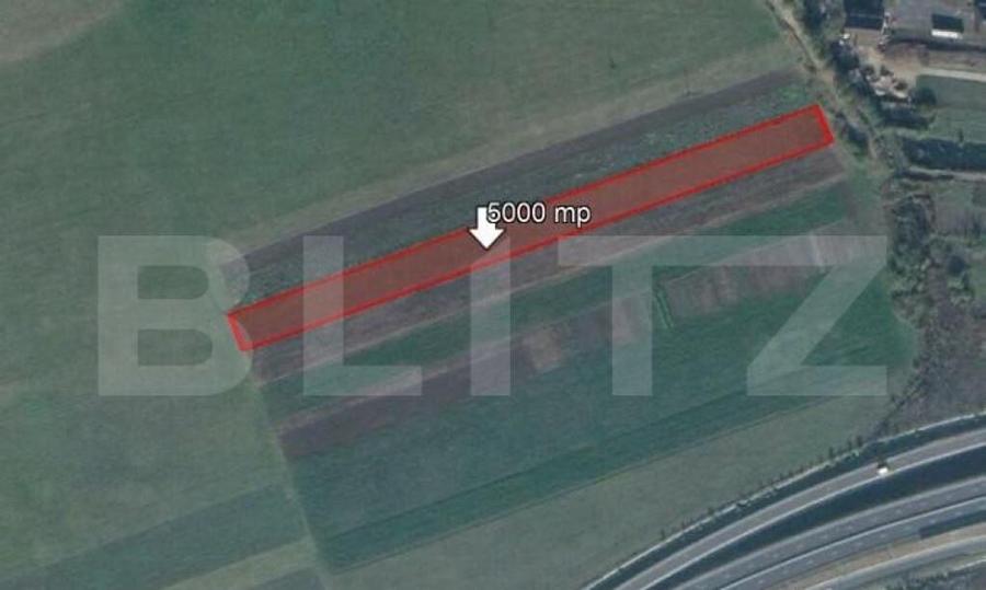 Teren de 5000 mp, Stupini - 2