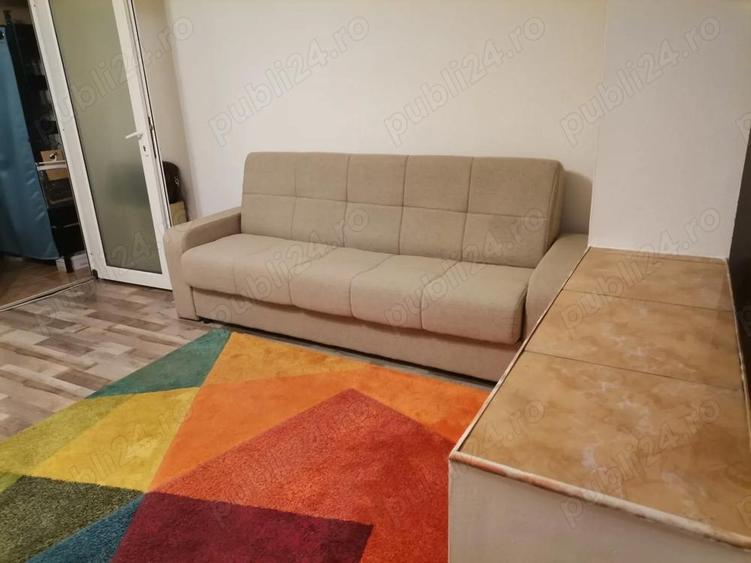 Apartament 1 camera 41 mp Micalaca - 7