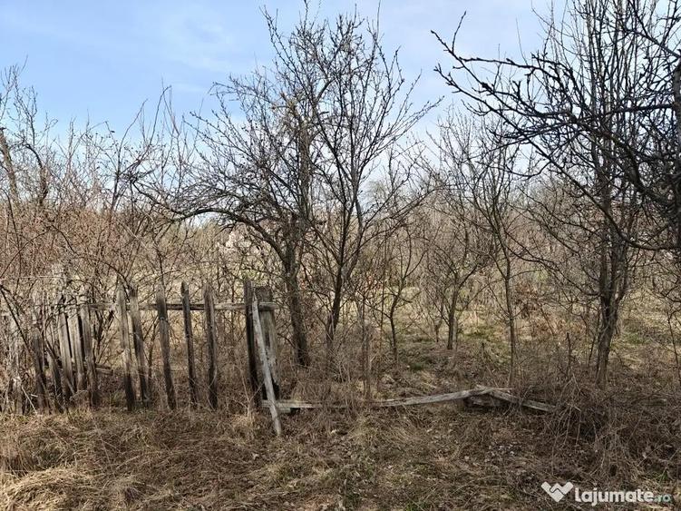Teren Intravilan 1.472 mp Cotmeana - Linte?ti, Utilita?i la gard, langa Padure - 8