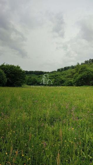 Teren de vanzare, 20.000Mp , Comuna Danes, drumul Crisului - 10