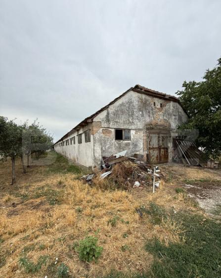 Ferma de Vanzare in judetul Timis, la nord est de Timisoara, - 22