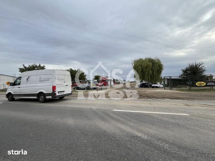 Teren intravilan 15000 mp oportunitate business - 4