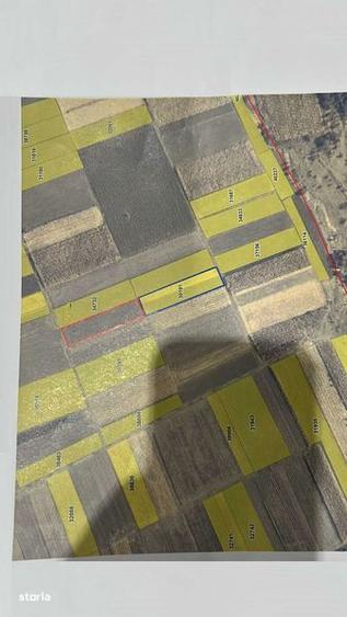 Teren Extravilant - 1