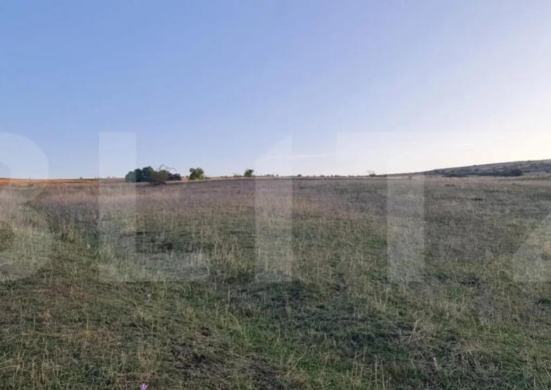 Teren, 11.600 mp, Campenesti - 6