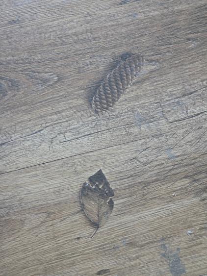 2 camere Dristor - Park Lake et 9/10 stradal - 33