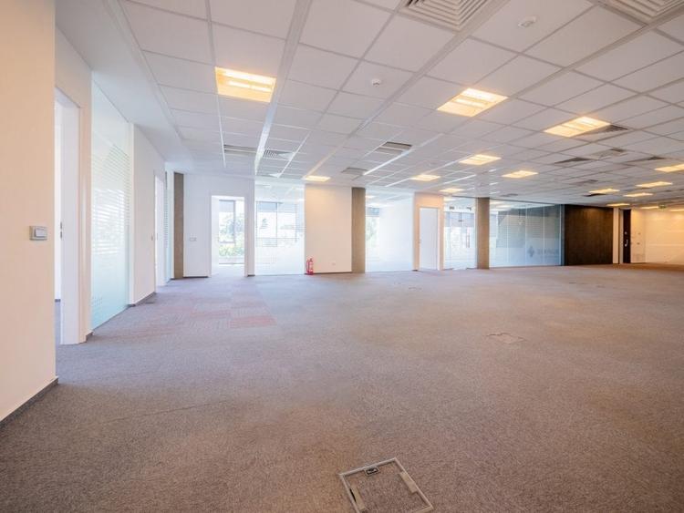 Spatii de birouri in cladirea Herastrau Office Building - 5