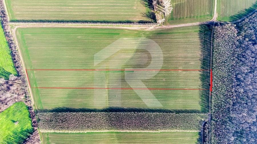 Teren langa Manastirea Sfantul Nicolae Sitaru - 7