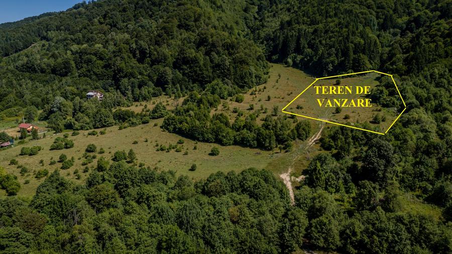 Teren superb in Rasnov Glajerie retras si intim - 4