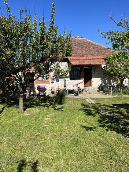 Vand casa in localitatea Paniova - 5