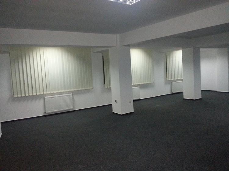 VANZARE CASE VILE - 33