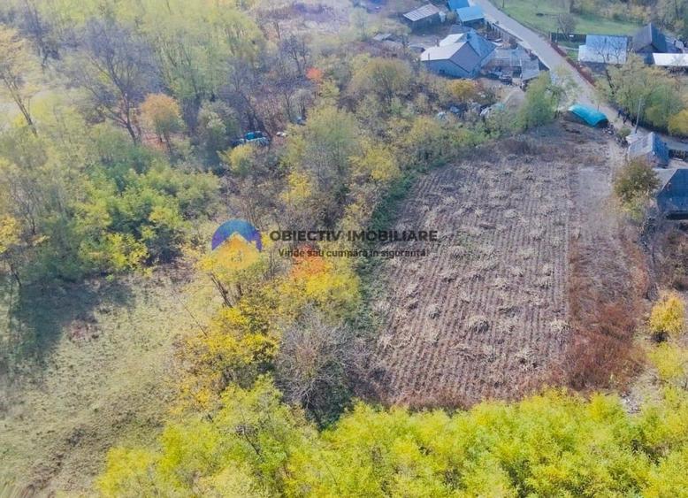 Teren de vanzare 11.766 mp – Costisa, judetul Neamt - 6