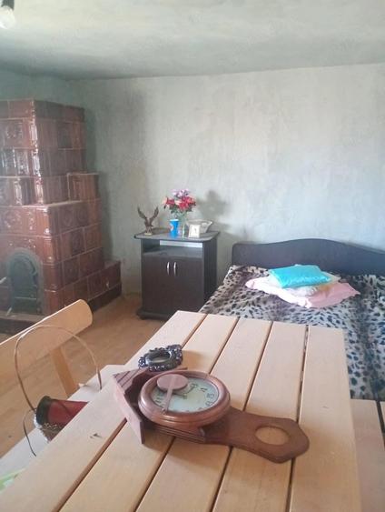Casa de vanzare Dragasani 59.000 EUR - 5
