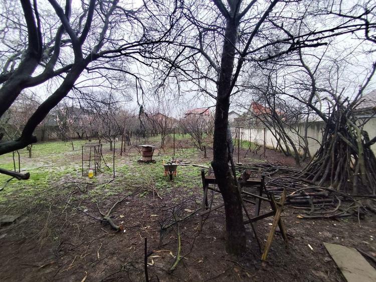 Proprietate de vanzare, 3400mp, casa P+1, Sos. Alexandriei - 9