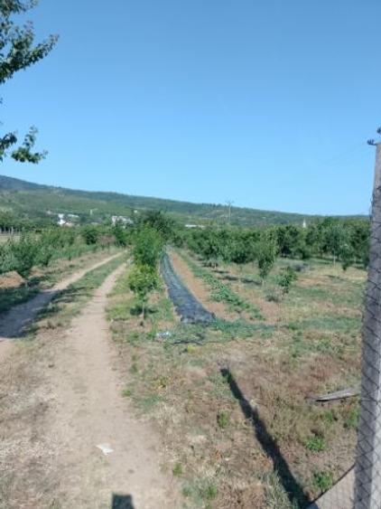 Vind teren intravilan - 1