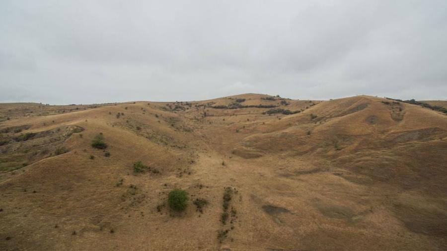 Teren pasune Sat stejeris DE 81 54 hectare 540000 mp - 7