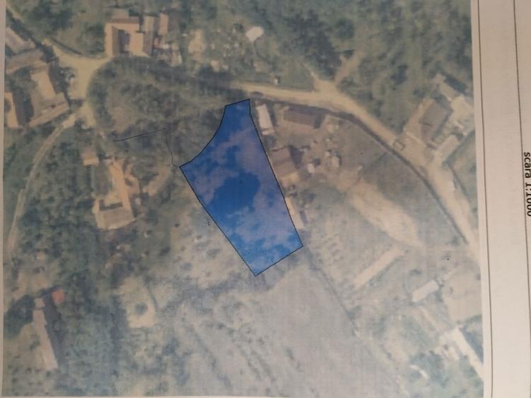 De vanzare 2 parcele de teren in Pianu de Sus str. Gruiete - 3