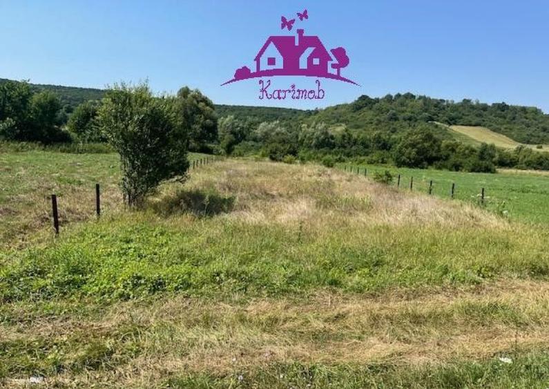 Teren intravilan Hidiselul de Sus - 4