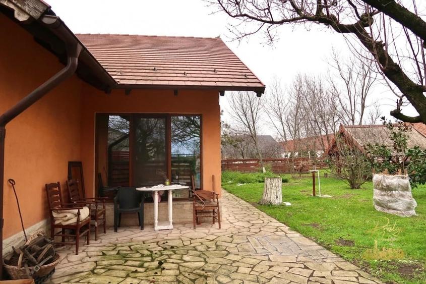 Domeniu - Centru de colectare, 7 ha de vanzare in Valea lui Mihai - 36