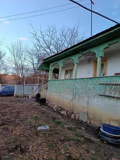 Casă cu 4 camere în Nucșoara de Jos