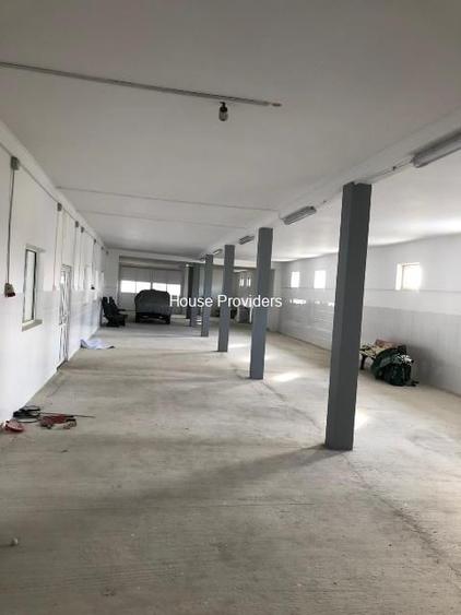 Vanzare  2 Hale Spatii Industriale Puchenii Mari - 8